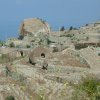 collina di montecorvo con parracine e massi